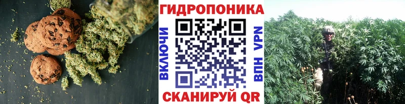 Cannafood конопля  Купить закладки  Ахтубинск 