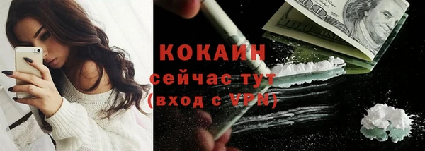 сатива Ладушкин