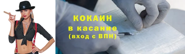 сатива Ладушкин