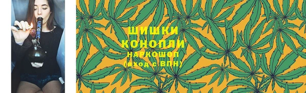 сатива Ладушкин